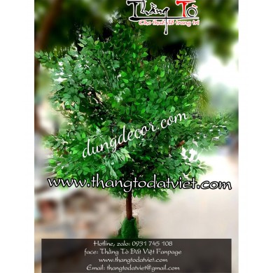 cho thuê cây xanh giả 7